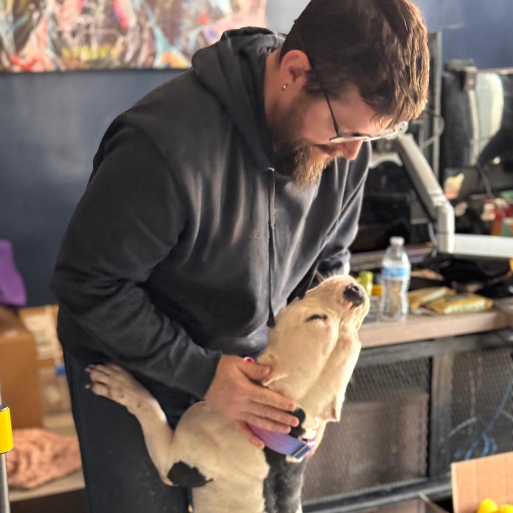 Enlarge Mavis, a Adoptable Pit Bull Terrier in Chicago, IL image 6/6