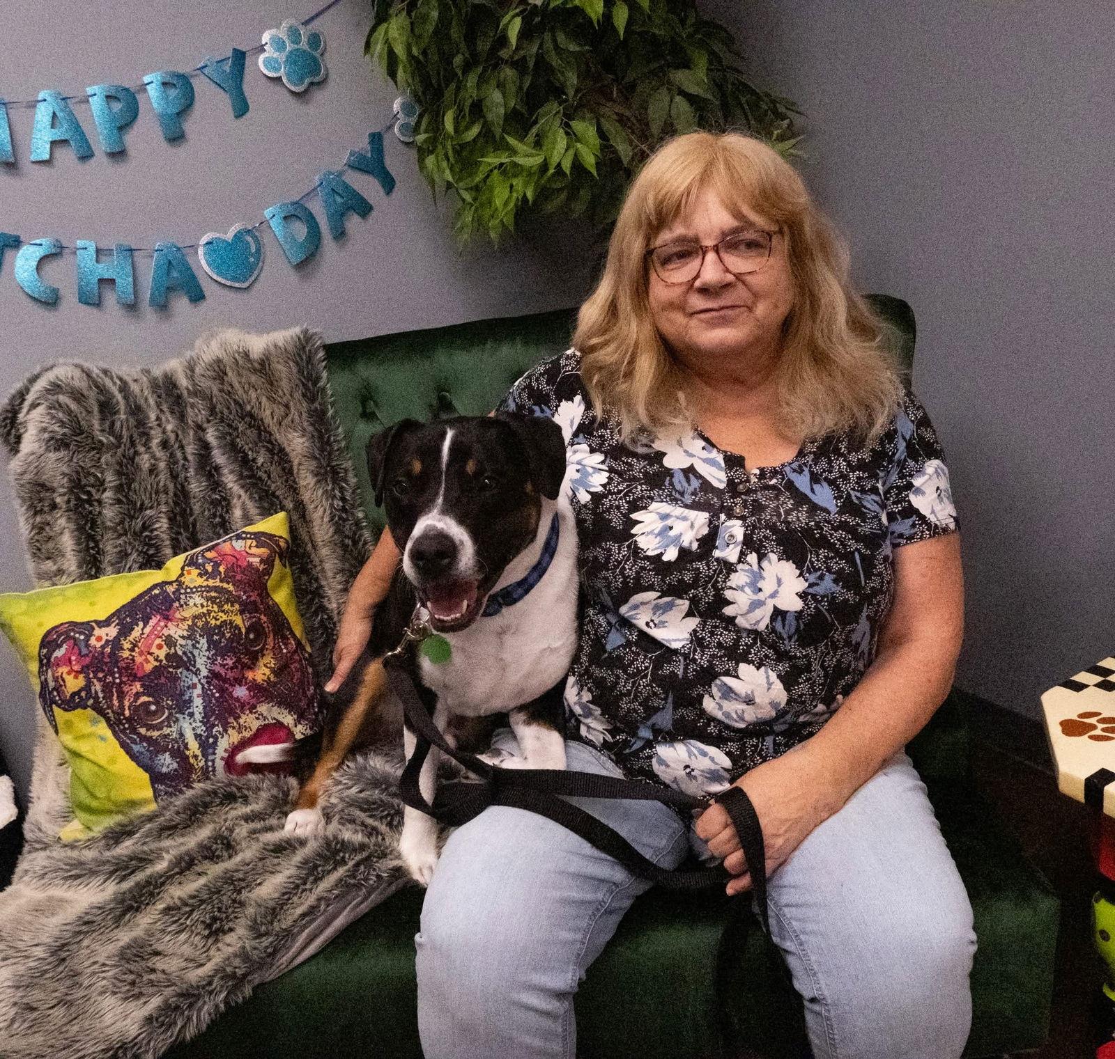 Enlarge Sunny, a Adoptable mixed breed in Tonawanda, NY image 1/3