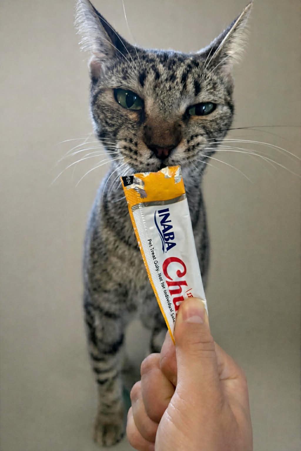 Teti — thumbnail 3