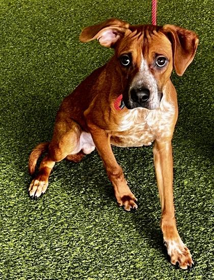 Waylon — thumbnail 2