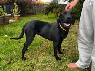 Juno, Young Female unknown