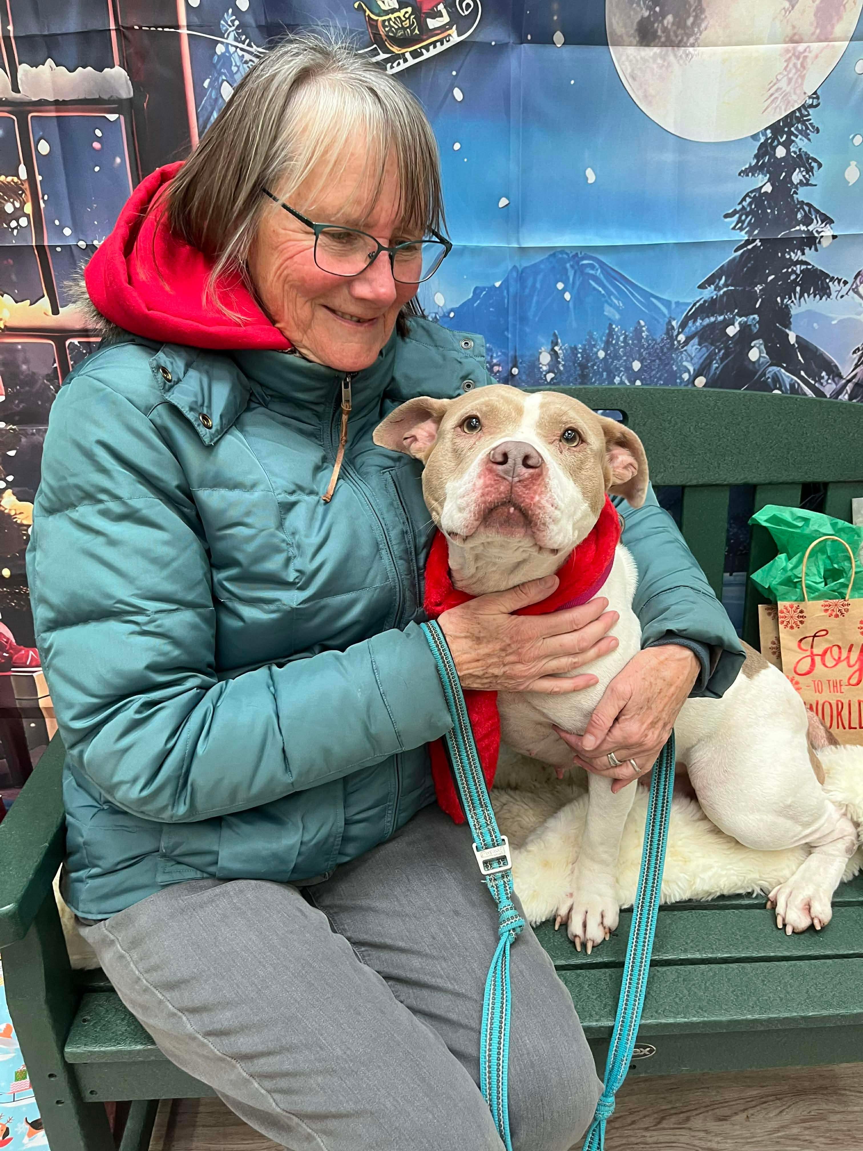 Enlarge Bristol, an adoptable mixed breed in Elyria, OH image 3/3