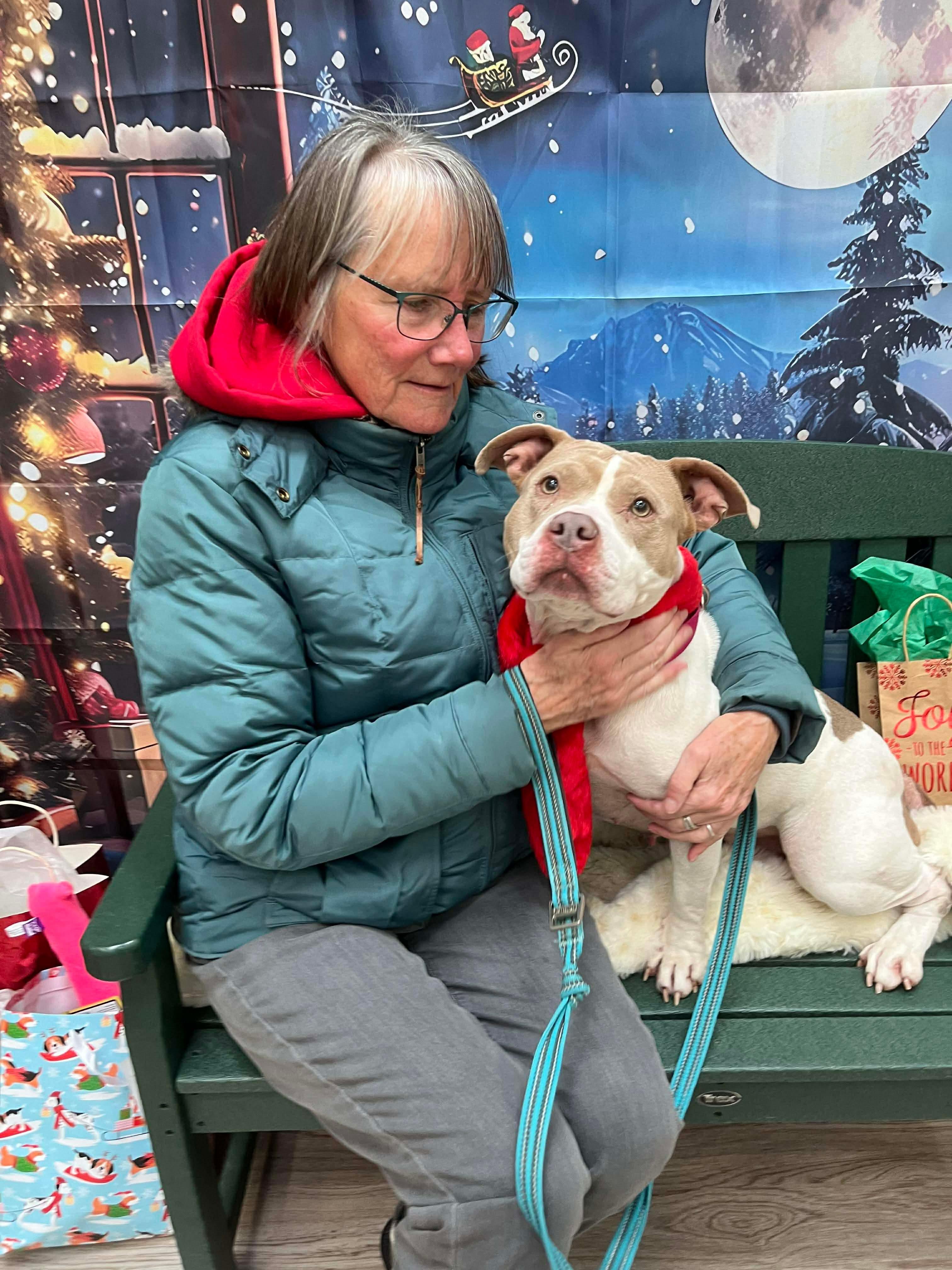 Enlarge Bristol, an adoptable mixed breed in Elyria, OH image 2/3