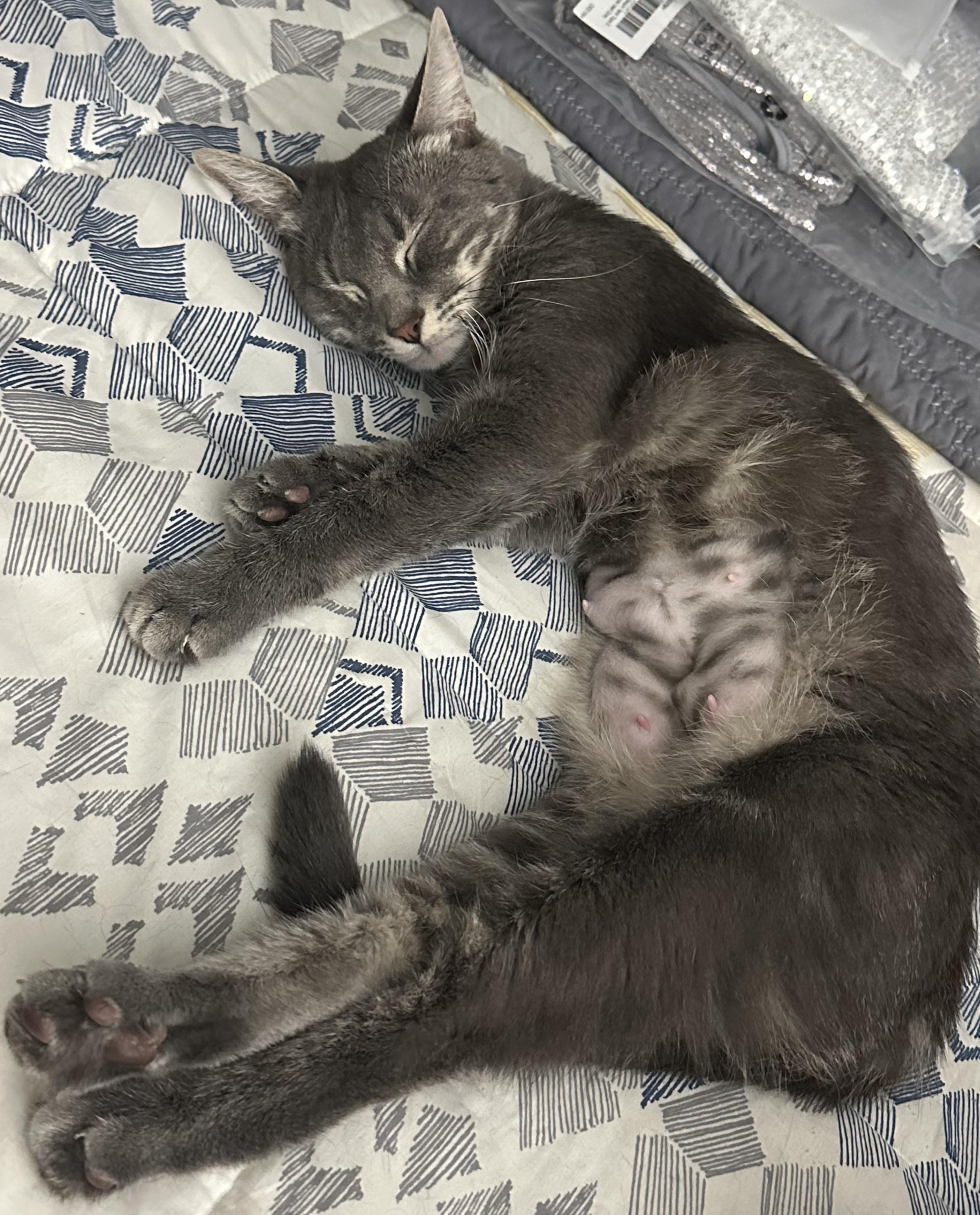 Selene (AKA Storm), Young Female unknown