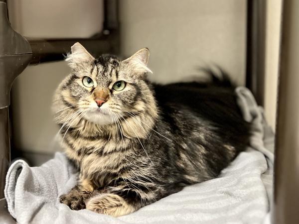 Floof — thumbnail 3