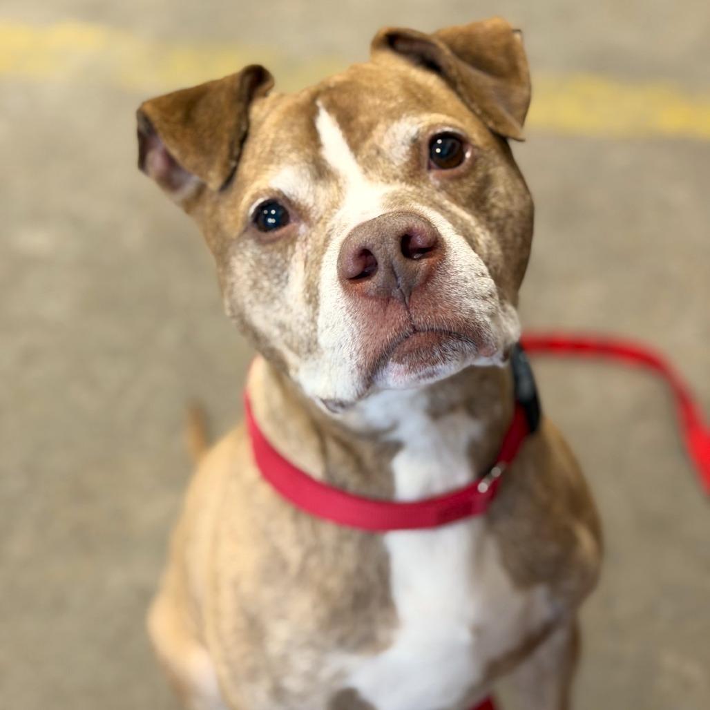 Bruce — thumbnail 3