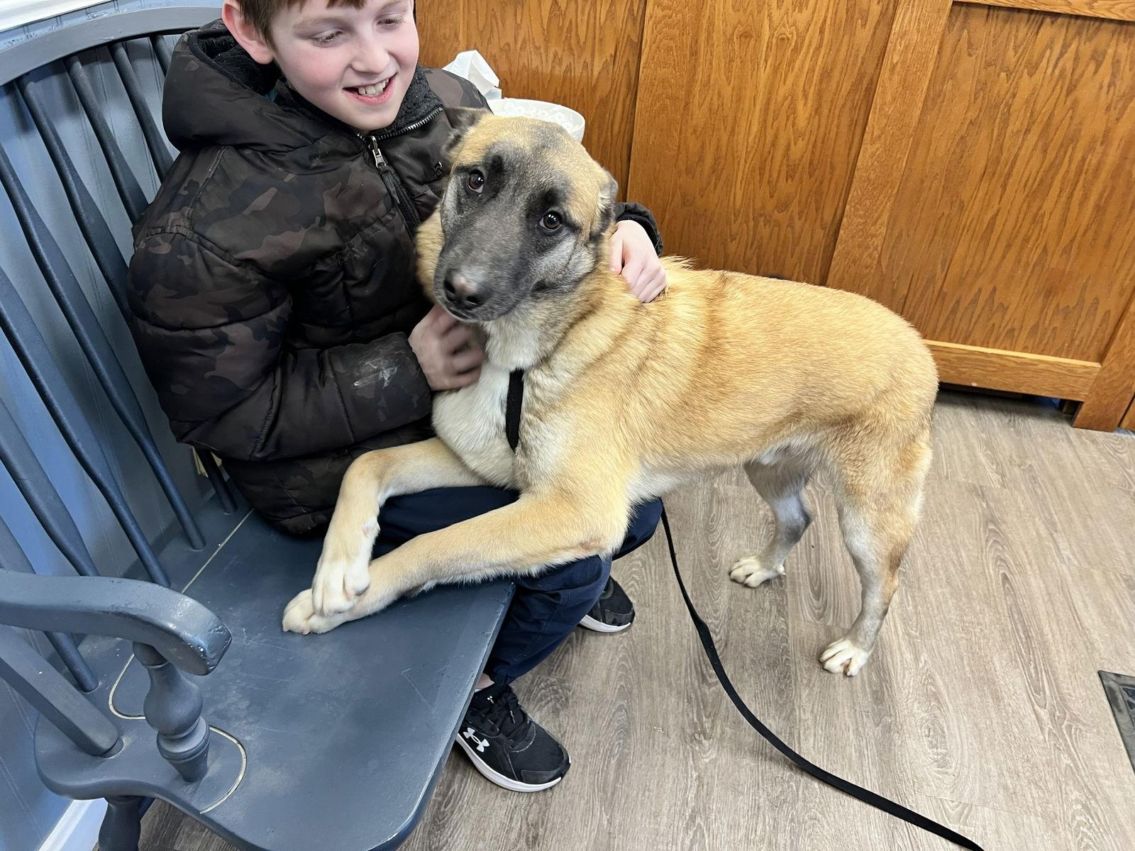 Enlarge CRUZ - Fostered Bangor, ME, a Adoptable mixed breed in Sebec, ME image 2/4