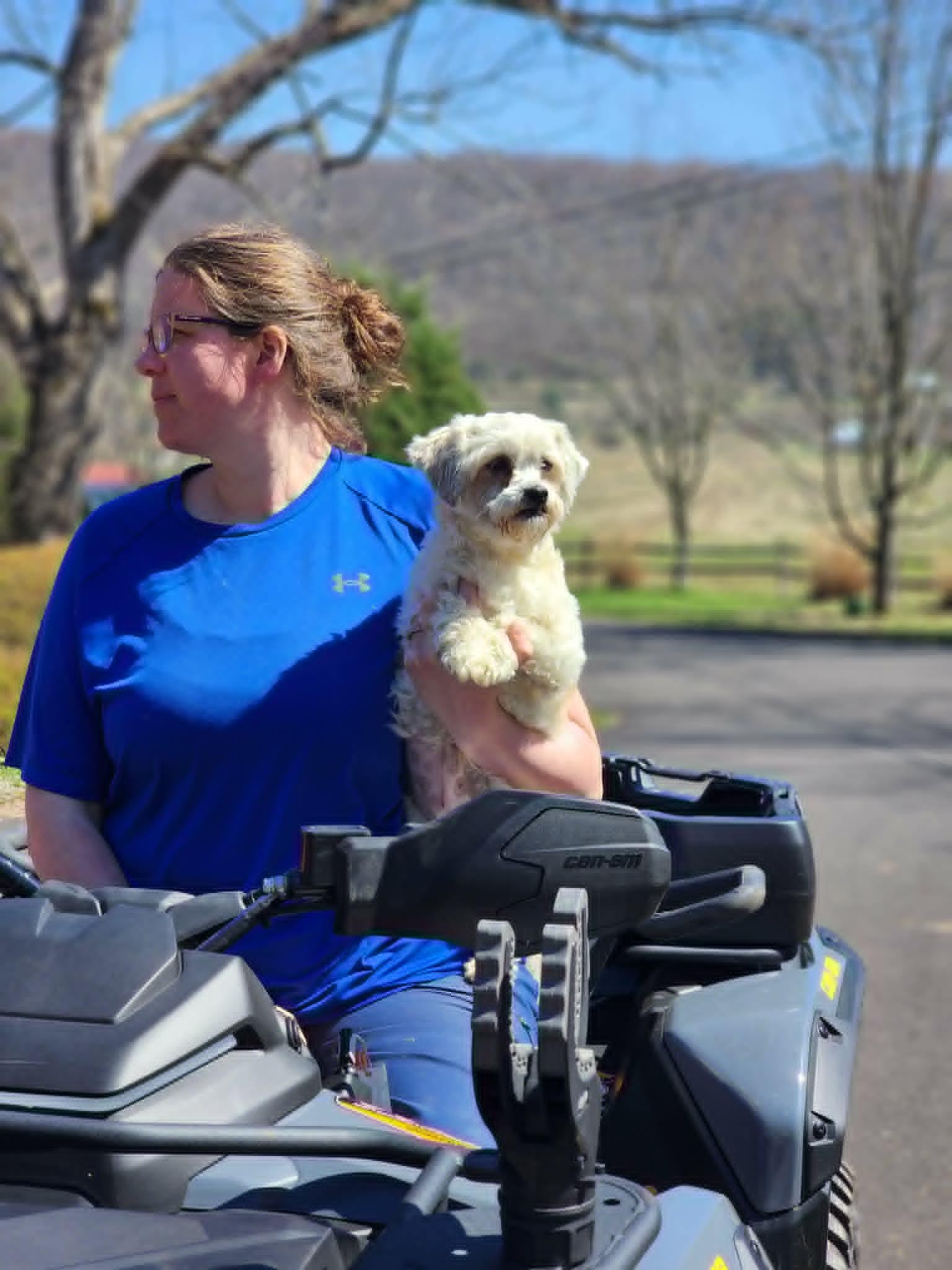 Enlarge Zoe Garden, a Adopted mixed breed in Cuba, NY image 2/3