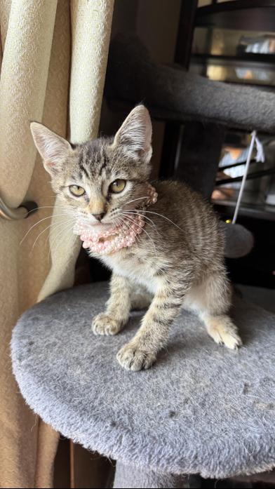 Hope — thumbnail 3