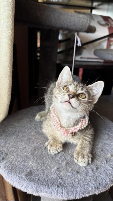 Hope — thumbnail 4