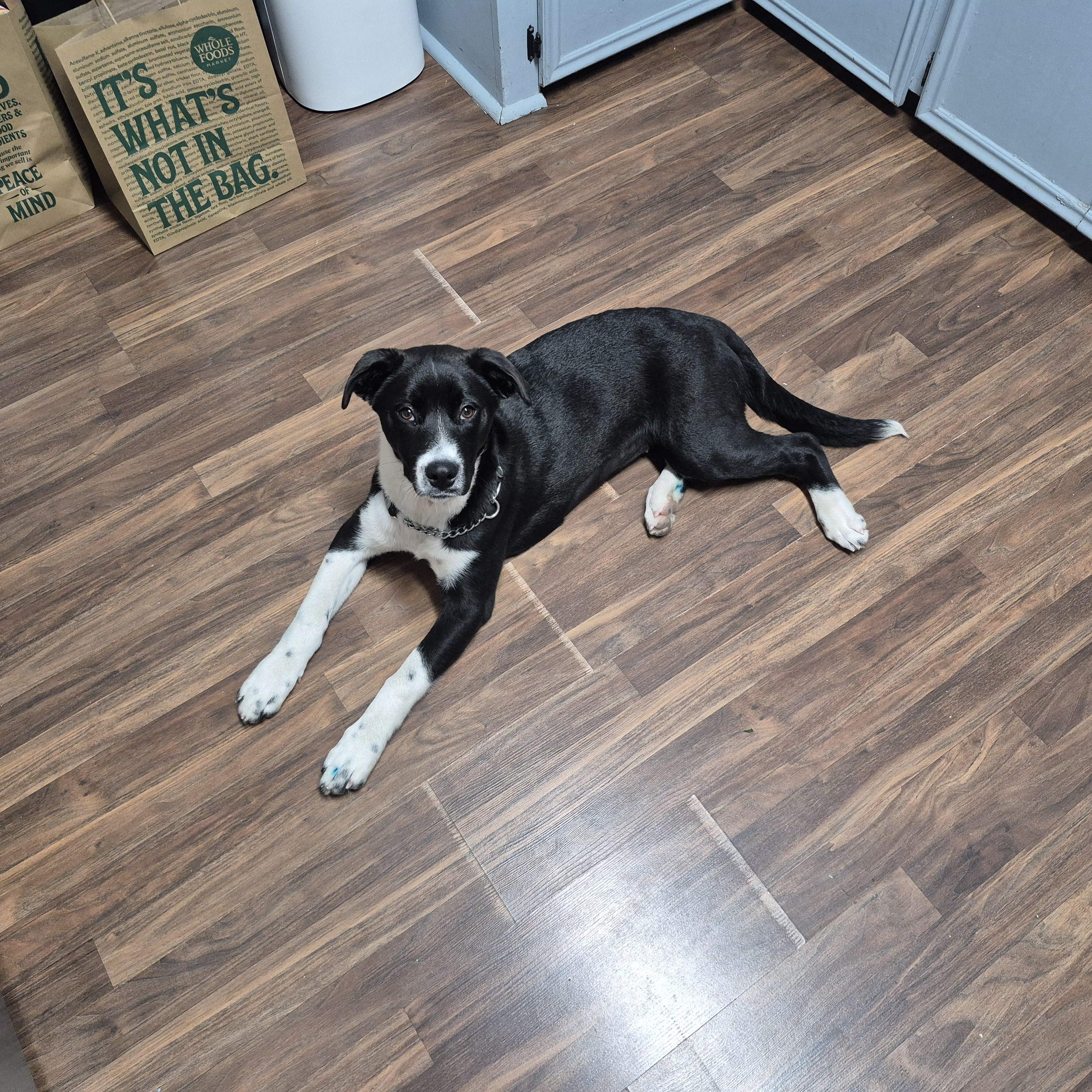 Dessie — thumbnail 3