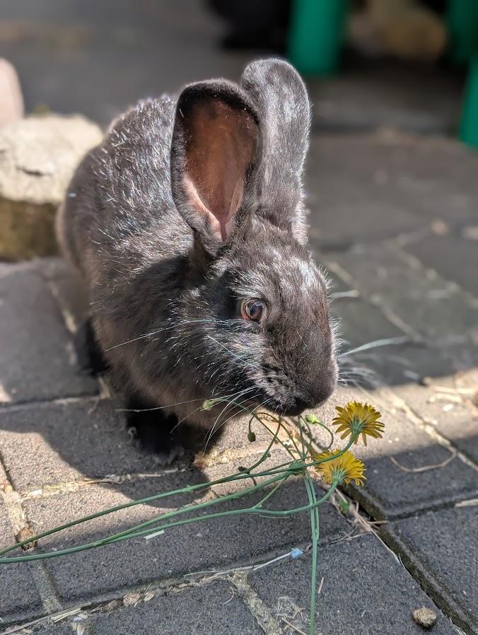 Betty Boop and Marilyn Bunroe