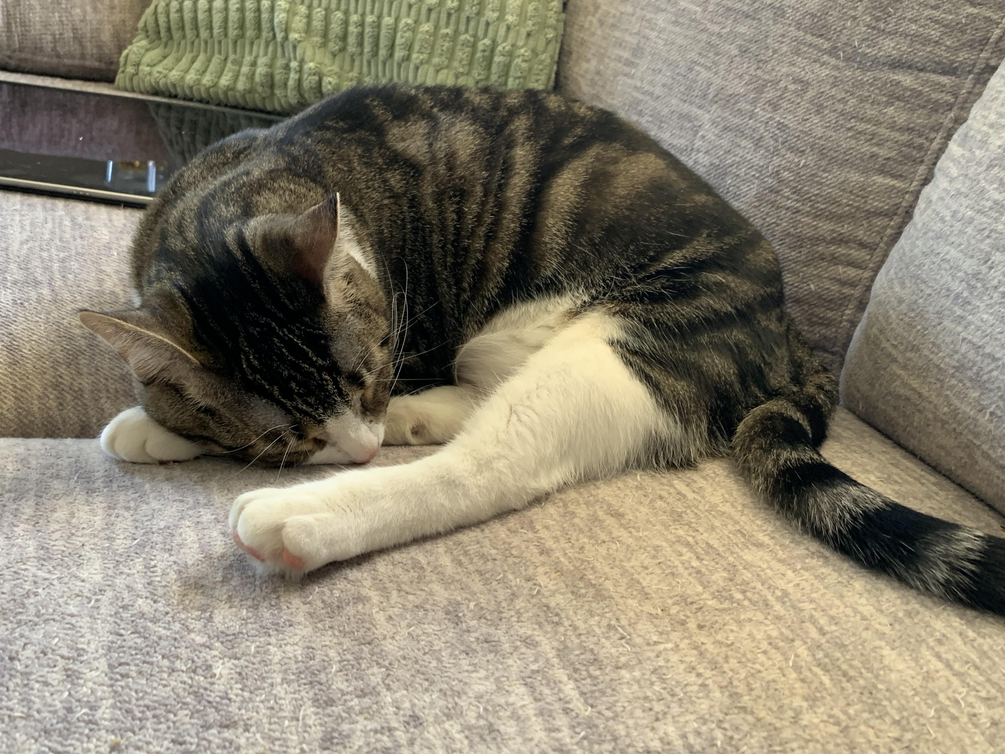 Boots & Mittens