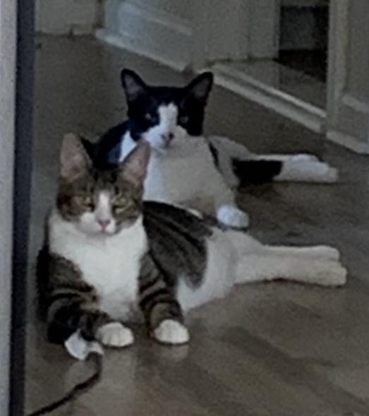 Boots & Mittens