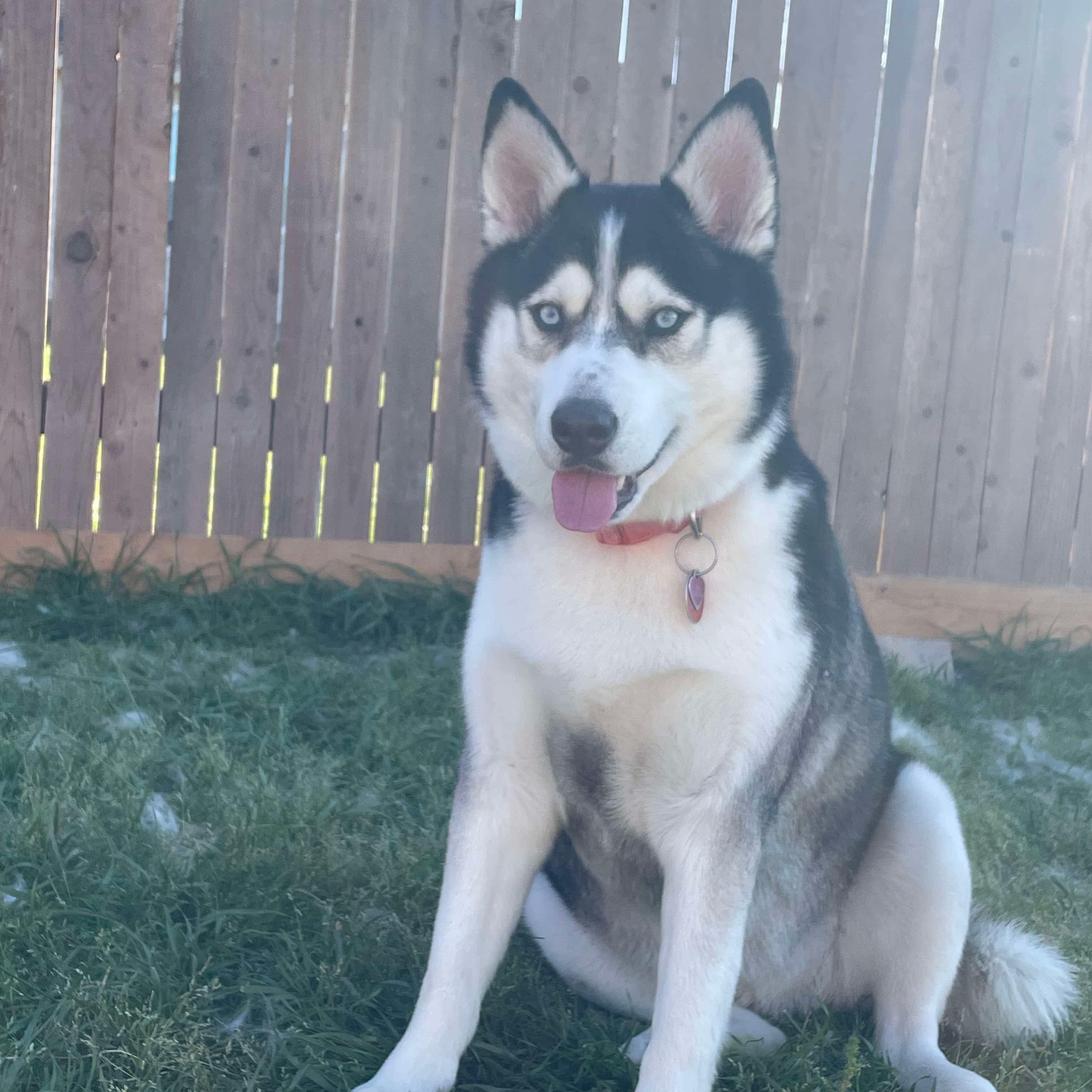 Luna photo 4