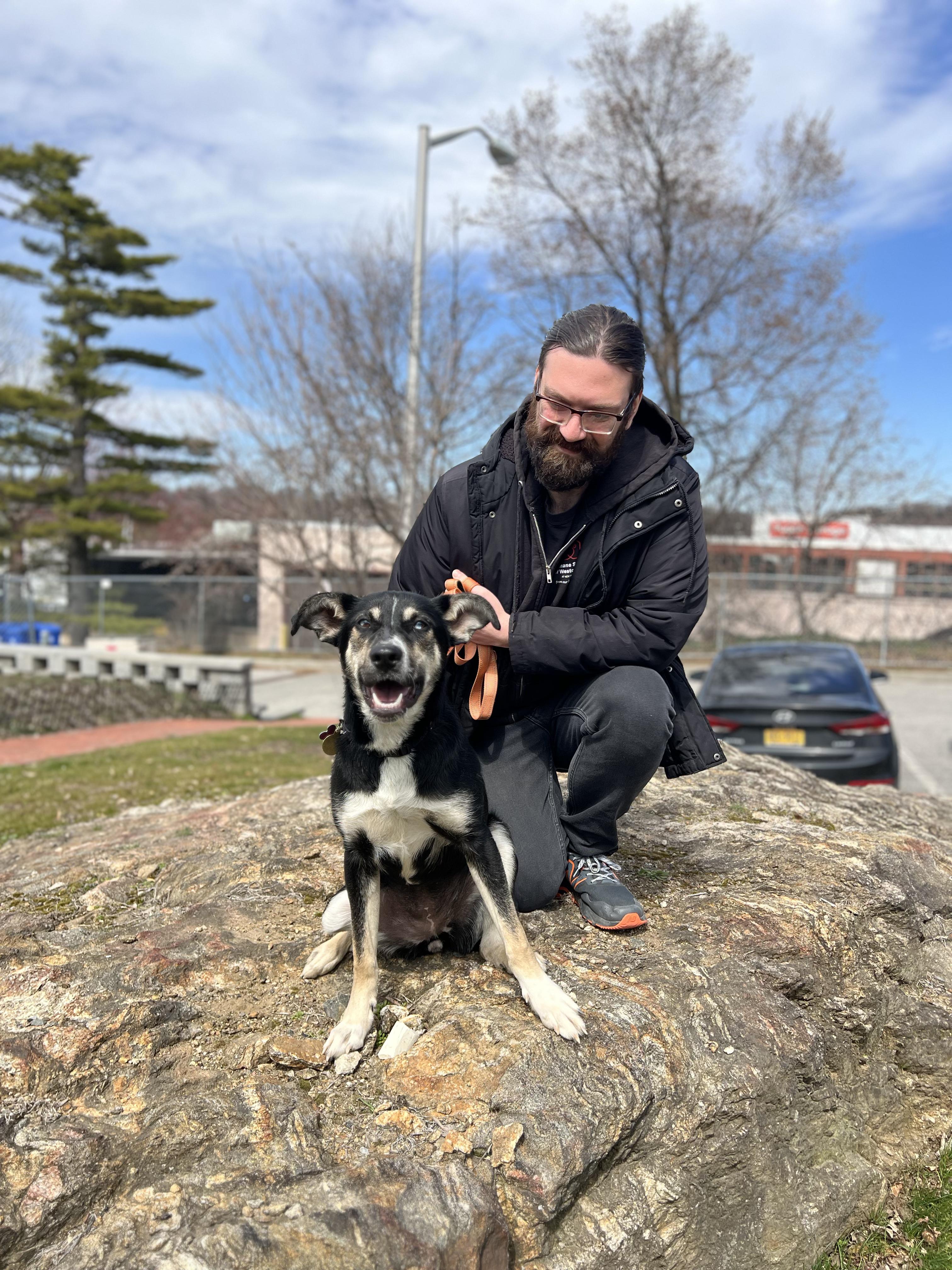 Enlarge Iris, an adoptable mixed breed in New Rochelle, NY image 2/5