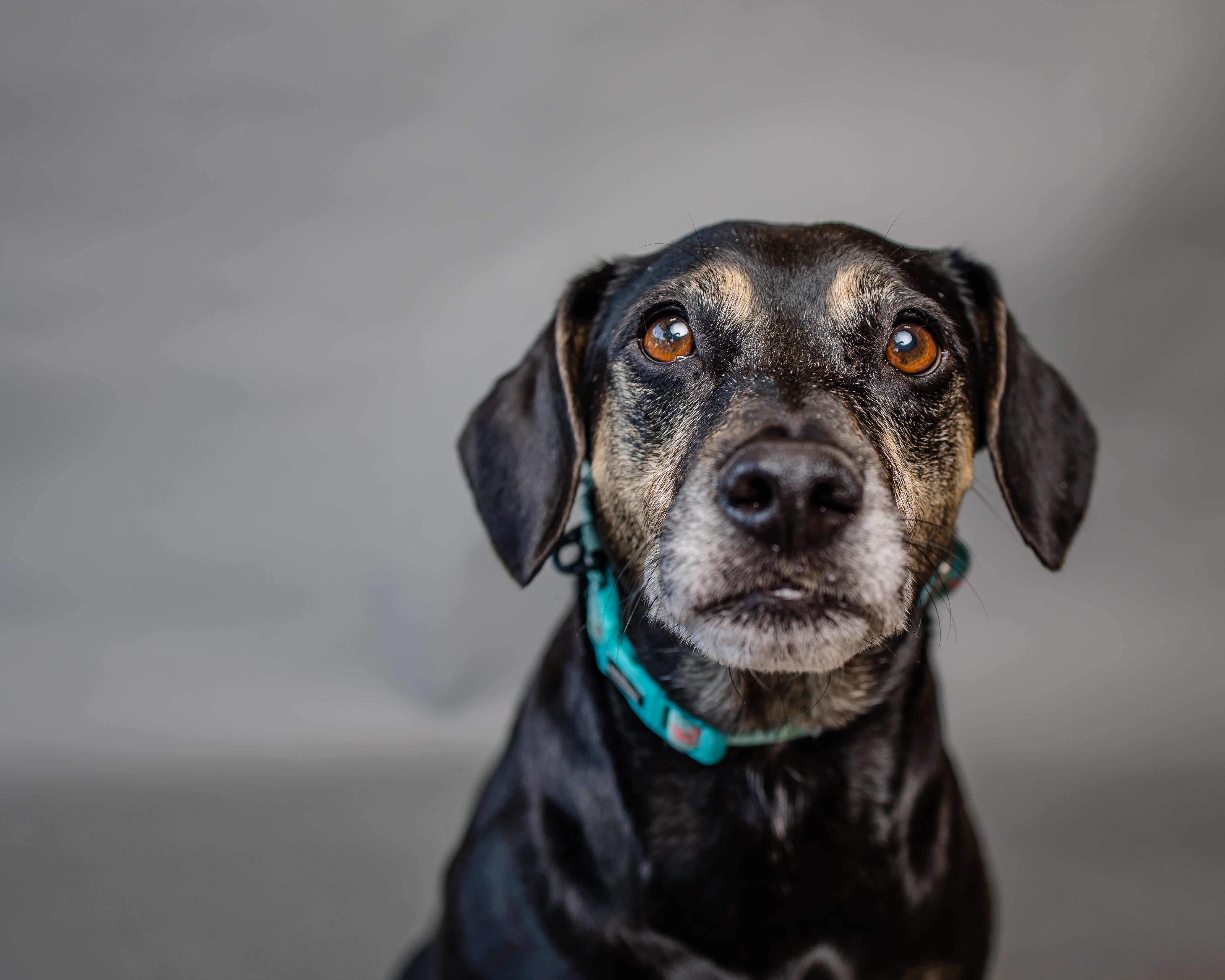 Maggie Mae photo 3