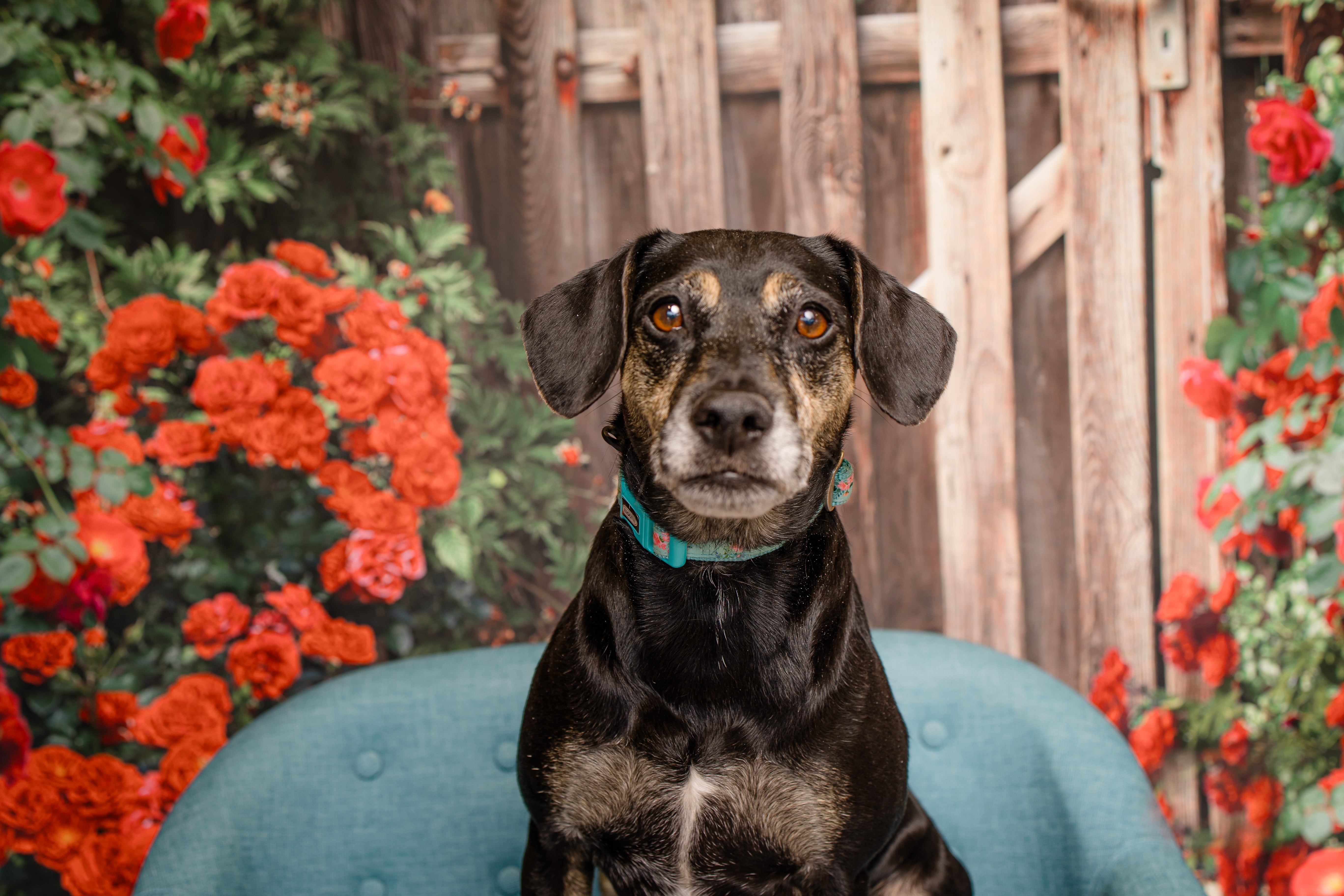 Maggie Mae photo 6