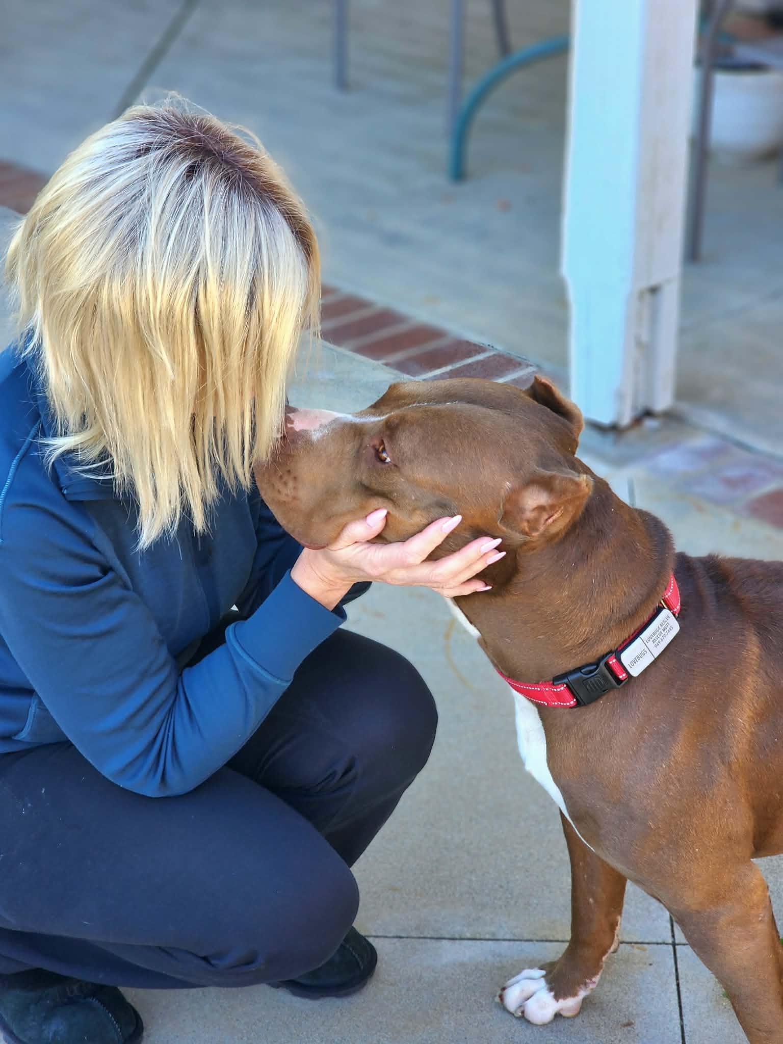 Pebbles, a ADOPTABLE mixed breed in Corona Del Mar, CA image 4/6
