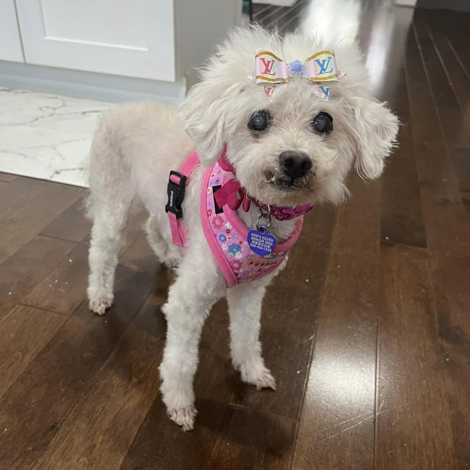 Lila