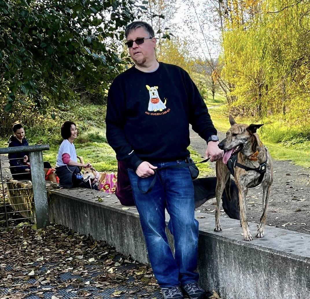 Rey, a Adoptable Greyhound in Woodinville, WA image 1/4