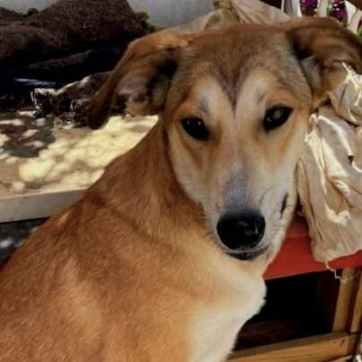 Melody (20230325-10) — thumbnail 5