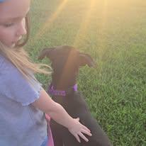 Enlarge Mateo, a Adoptable mixed breed in Sweetwater, TN image 2/4