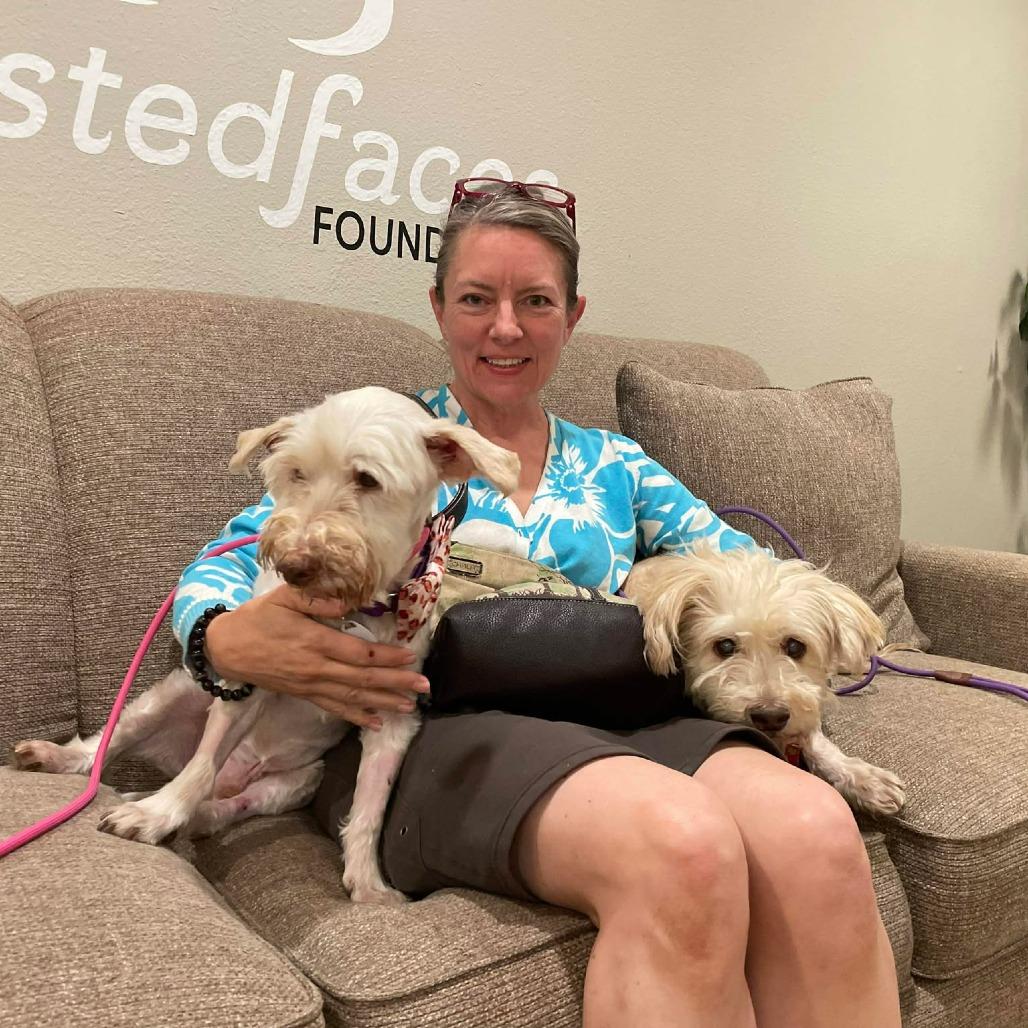 Enlarge Jeckle, a Adoptable Schnauzer in Ramona, CA image 4/5