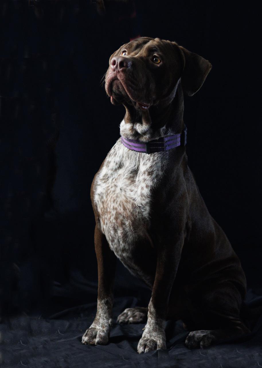 Arthur photo