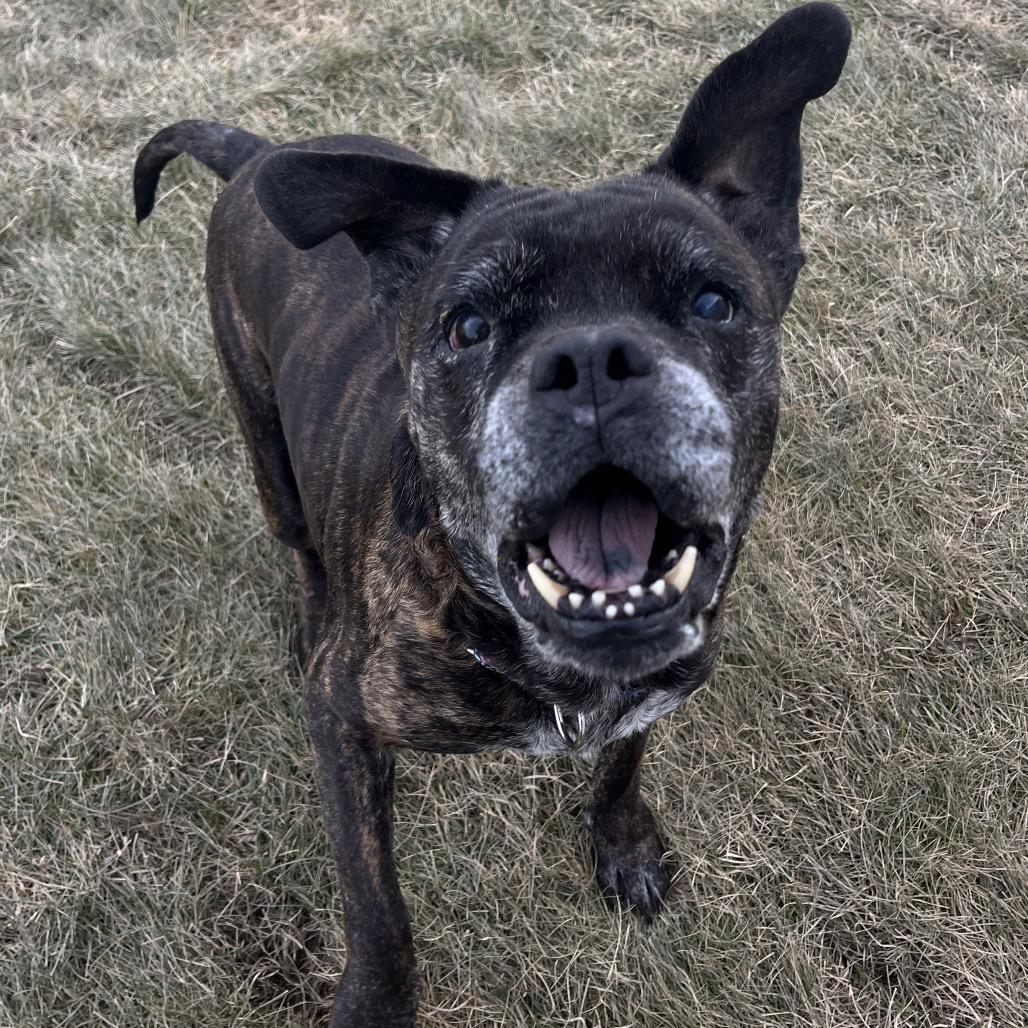 Helen — thumbnail 5