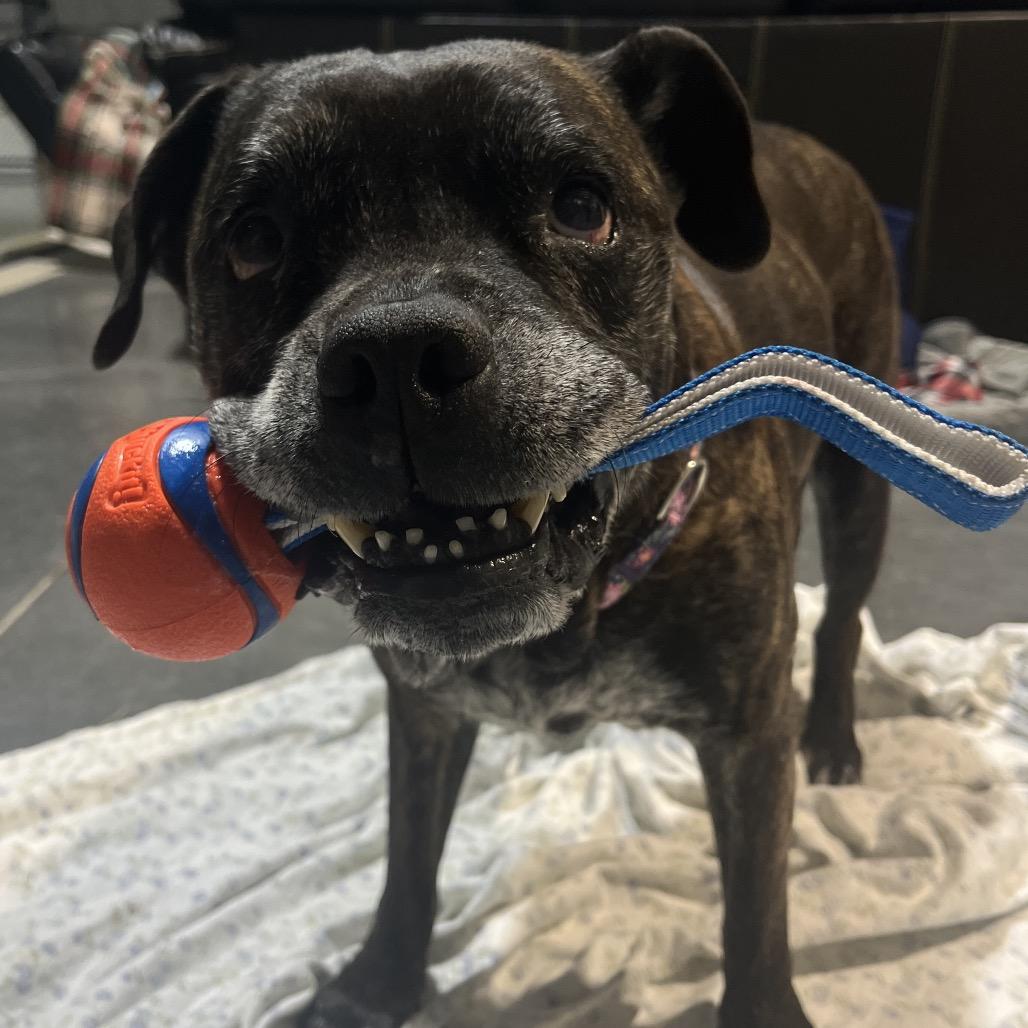 Helen — thumbnail 6