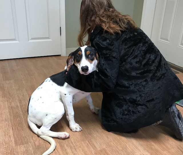 Enlarge Babe- Plesae read description as to personality-thanks!, a Adoptable mixed breed in Yellville, AR image 3/6