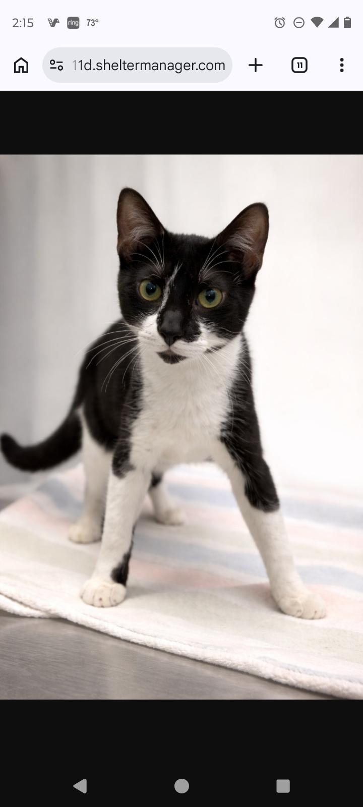 Billy Special needs CH photo