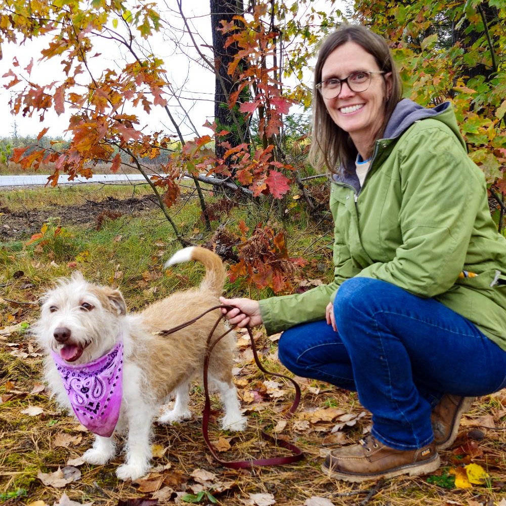 Carley (Part of a bonded pair with Kuma), an adoptable Mixed Breed in Cheboygan, MI, 49721 | Photo Image 3
