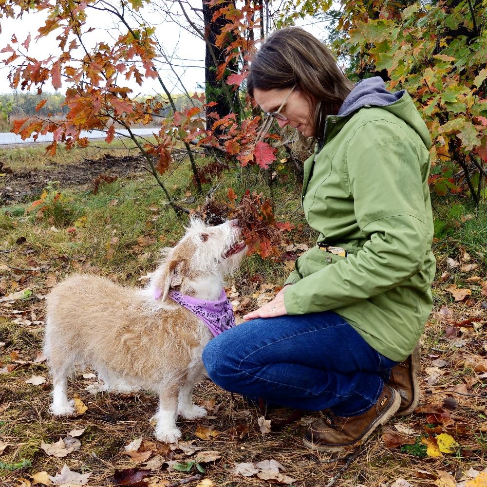 Carley (Part of a bonded pair with Kuma), an adoptable Mixed Breed in Cheboygan, MI, 49721 | Photo Image 6