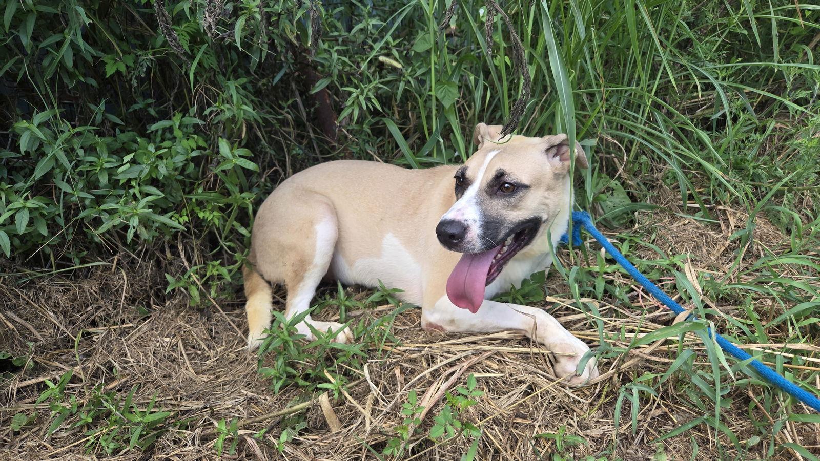 Martina — thumbnail 2