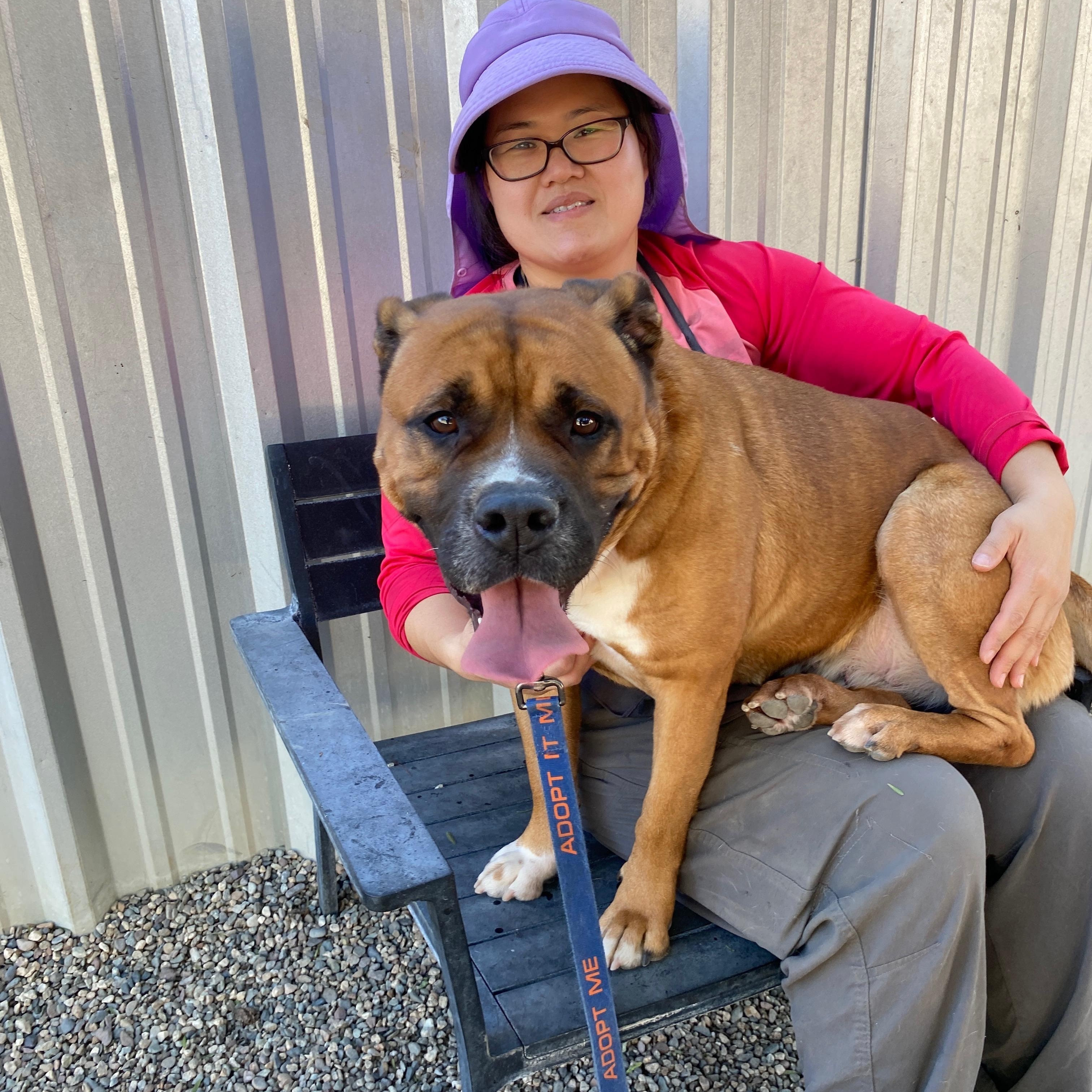 UKI, a Adoptable mixed breed in Pasadena, CA image 6/6