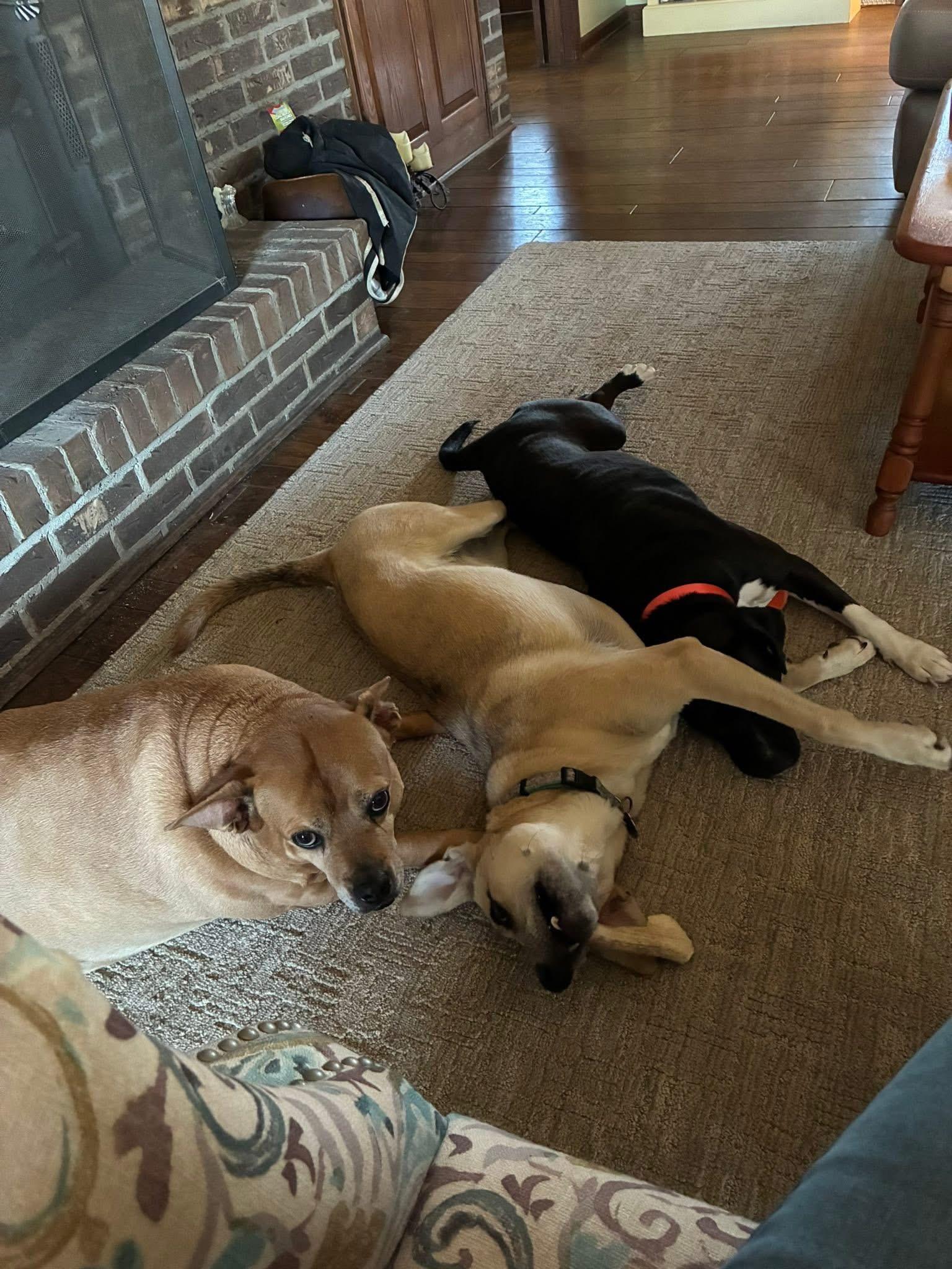 Sweet Pea thumbnail 6