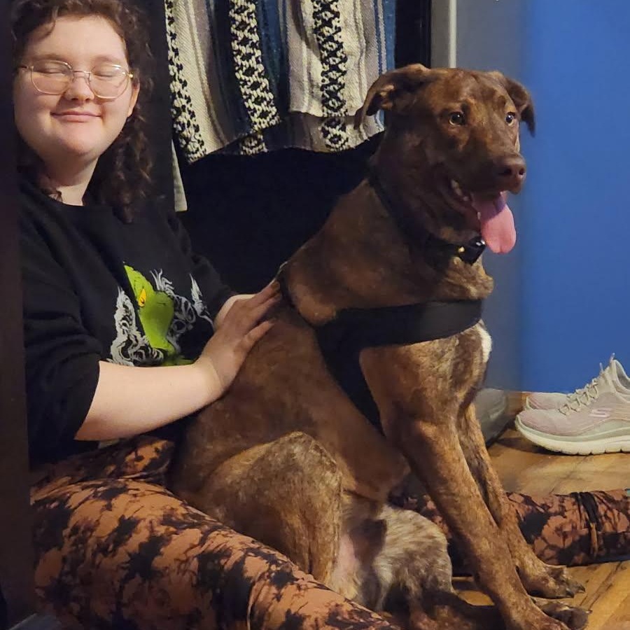 Nash, a ADOPTABLE mixed breed in Brentwood, TN image 2/2