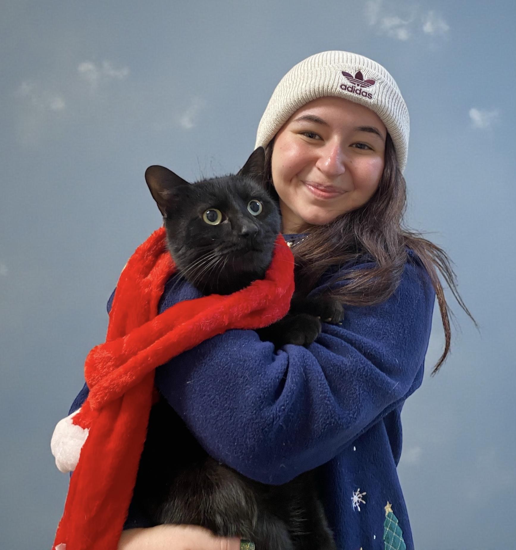 Enlarge Onyx , an adoptable Domestic Short Hair in Elyria, OH image 1/1