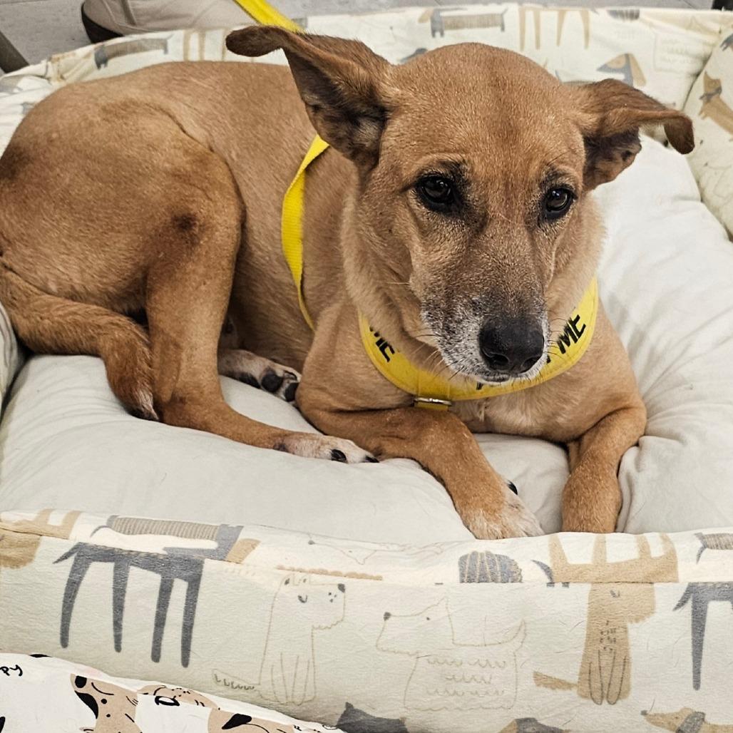 Bridget — thumbnail 2