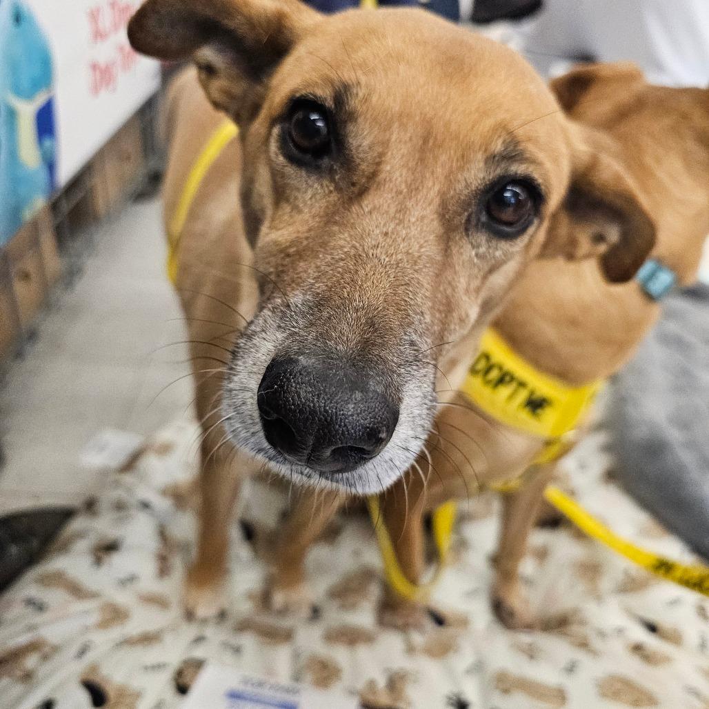 Bridget — thumbnail 3