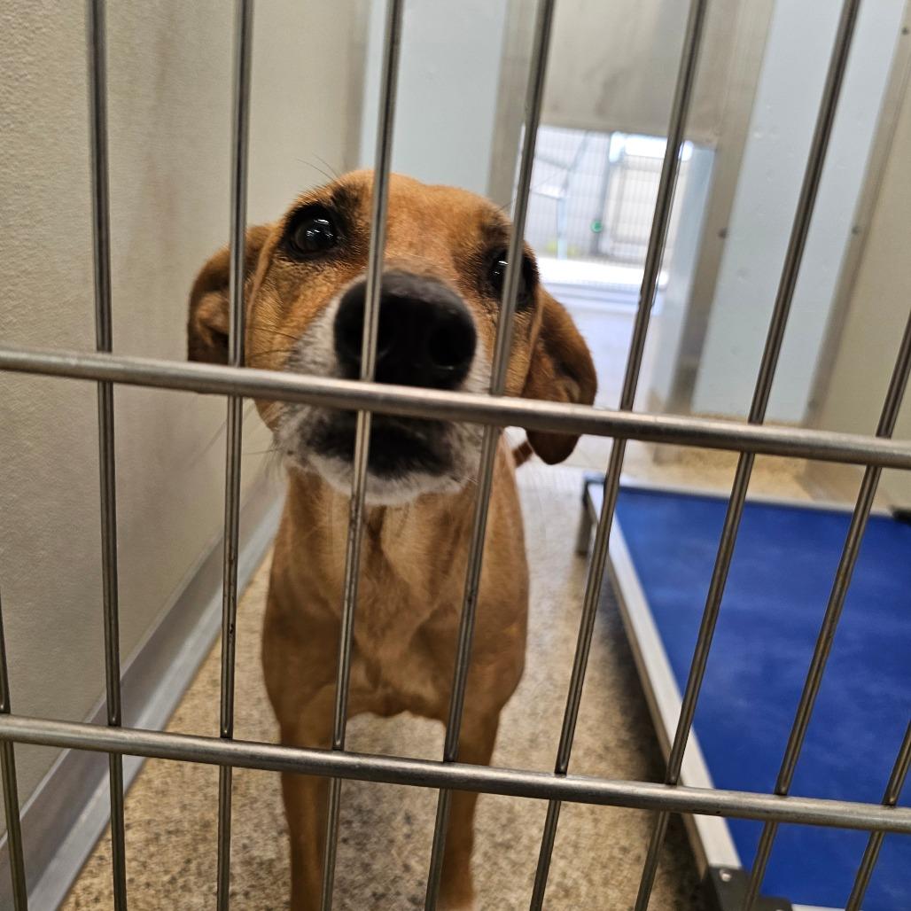 Bridget — thumbnail 4