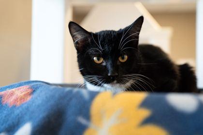 Becky G — thumbnail 2