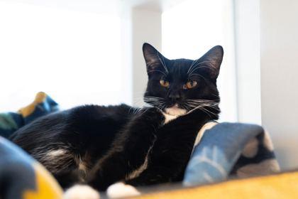 Becky G — thumbnail 3