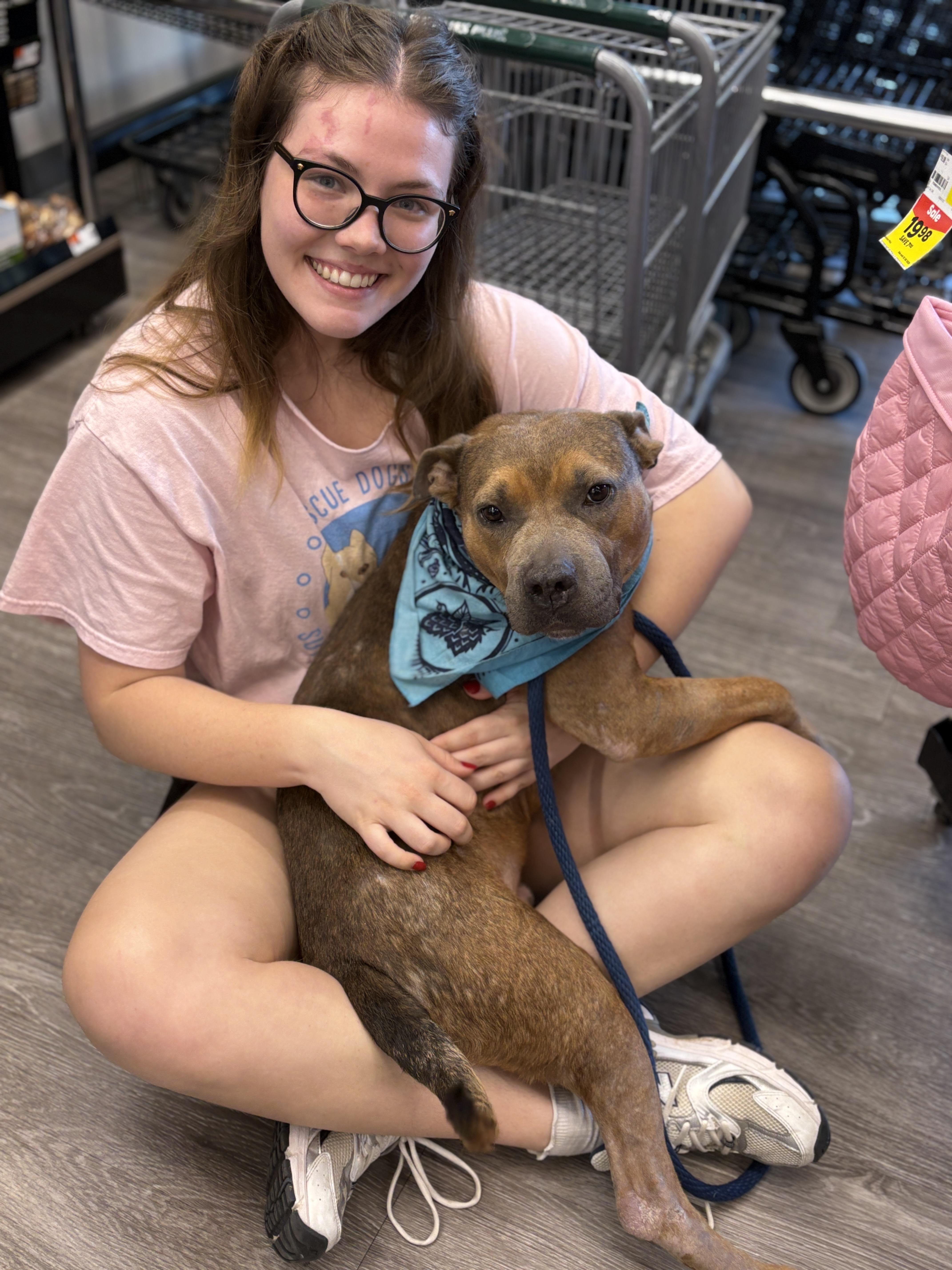 Enlarge Alfie, an adopted mixed breed in Houston, TX image 4/6