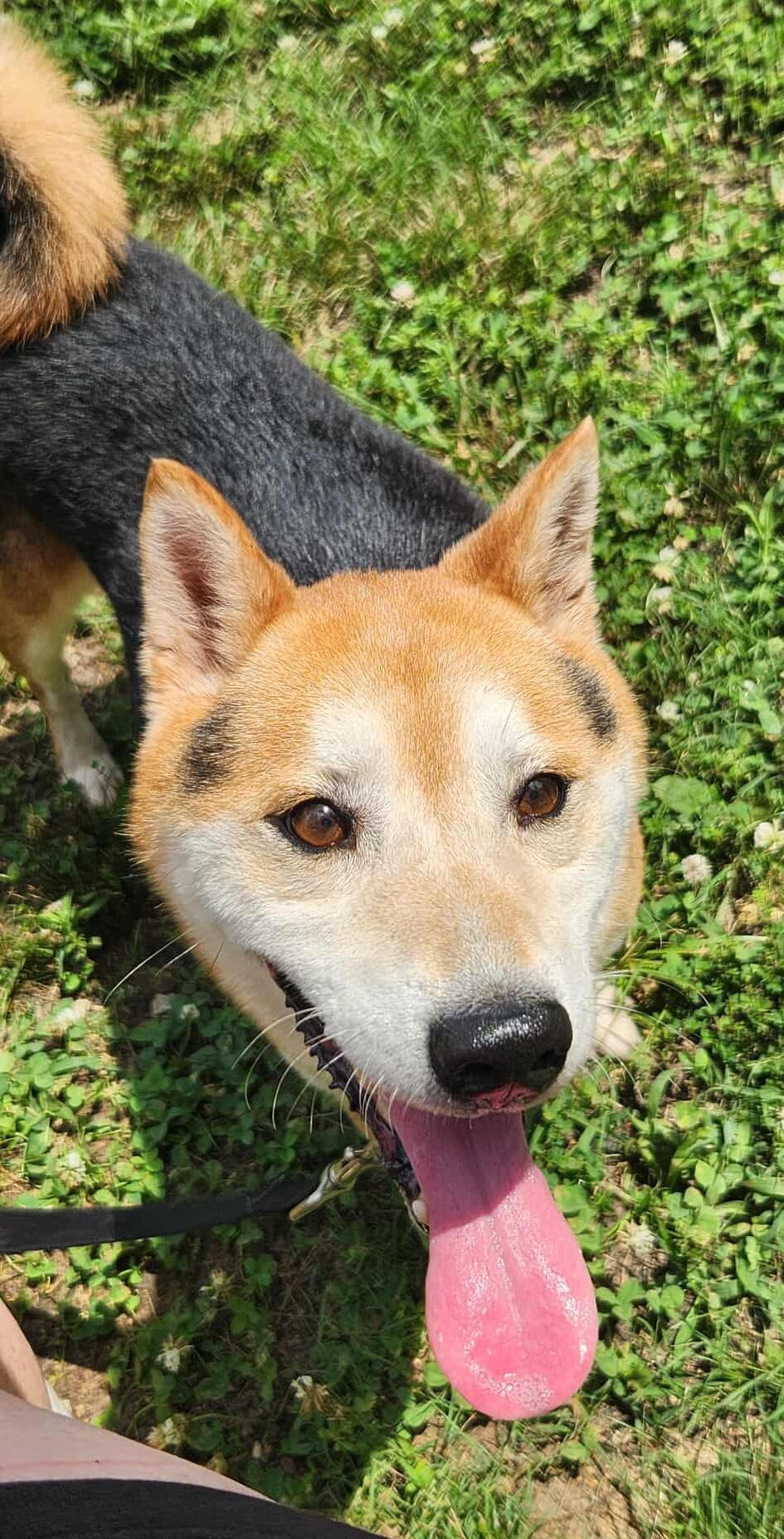 Max