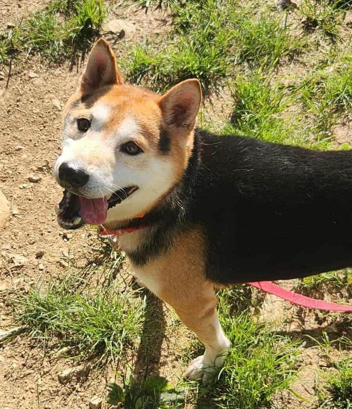 Max