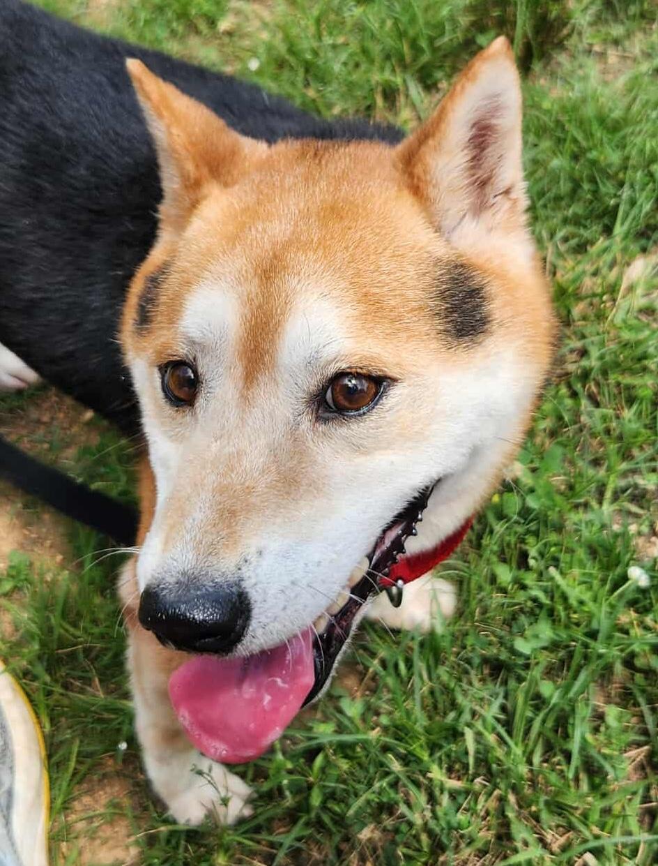 Max