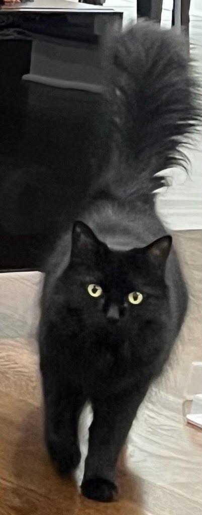 Keety Needs A New thumbnail 3